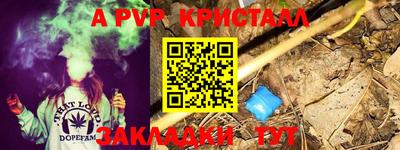 стафф Пенза